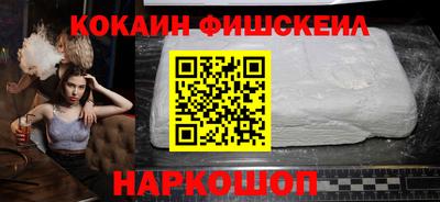 гашик Камышлов