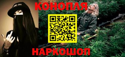 гашик Камышлов