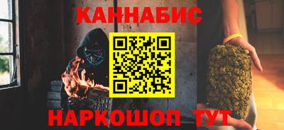 гашик Камышлов
