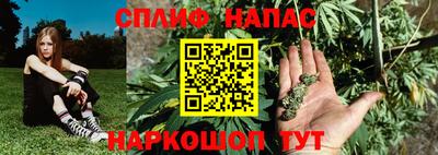 гашик Камышлов