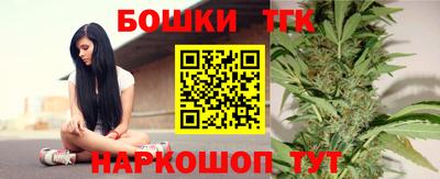 гашик Камышлов