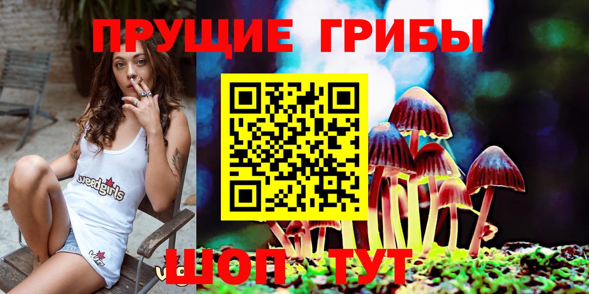 Псилоцибиновые грибы Magic Shrooms  что такое   Кудымкар  Галлюциногенные грибы GOLDEN TEACHER  Вход с VPN 
